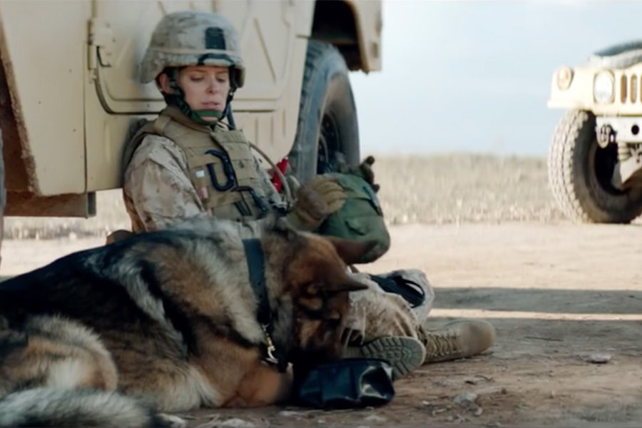 Sergeant Rex – Nicht ohne meinen Hund auf Blu-ray zu gewinnen   FASHIONPAPER – das Magazin für Fashion, Beauty und Lifestyle